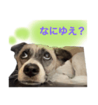 すんたらたらすたんぷ（個別スタンプ：5）