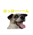 すんたらたらすたんぷ（個別スタンプ：7）