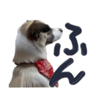 すんたらたらすたんぷ（個別スタンプ：8）