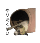 すんたらたらすたんぷ（個別スタンプ：9）