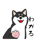 ソウル柴犬（個別スタンプ：10）