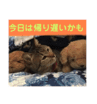 けんちゃんのかわいいすたんぷ2（個別スタンプ：6）