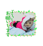 けんちゃんのかわいいすたんぷ2（個別スタンプ：7）