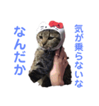 けんちゃんのかわいいすたんぷ2（個別スタンプ：14）