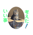 けんちゃんのかわいいすたんぷ2（個別スタンプ：18）