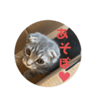 ぽこぽこねこすたんぷ3（個別スタンプ：2）