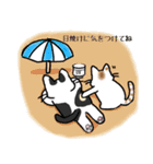 猫のぷーさん一家 初夏スタンプ（個別スタンプ：19）