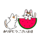 猫のぷーさん一家 初夏スタンプ（個別スタンプ：21）