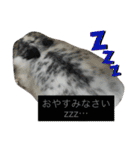 うさぎのめめちやん（増量版）（個別スタンプ：4）