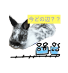 うさぎのめめちやん（増量版）（個別スタンプ：6）