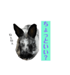 うさぎのめめちやん（増量版）（個別スタンプ：8）