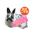 うさぎのめめちやん（増量版）（個別スタンプ：10）