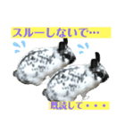 うさぎのめめちやん（増量版）（個別スタンプ：11）