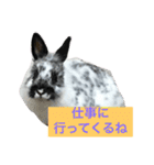 うさぎのめめちやん（増量版）（個別スタンプ：13）