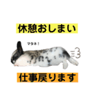 うさぎのめめちやん（増量版）（個別スタンプ：14）