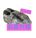うさぎのめめちやん（増量版）（個別スタンプ：18）
