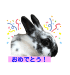 うさぎのめめちやん（増量版）（個別スタンプ：19）