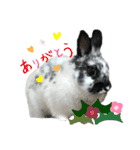 うさぎのめめちやん（増量版）（個別スタンプ：20）