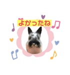 うさぎのめめちやん（増量版）（個別スタンプ：21）