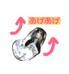 うさぎのめめちやん（増量版）（個別スタンプ：23）