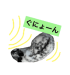 うさぎのめめちやん（増量版）（個別スタンプ：24）