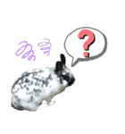 うさぎのめめちやん（増量版）（個別スタンプ：25）