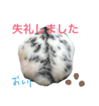 うさぎのめめちやん（増量版）（個別スタンプ：30）