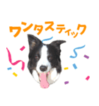 わんたすてぃっく★フォー（個別スタンプ：13）