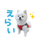 わんたすてぃっく★フォー（個別スタンプ：18）