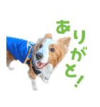 わんたすてぃっく★フォー（個別スタンプ：23）