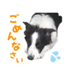 わんたすてぃっく★フォー（個別スタンプ：33）