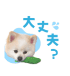 わんたすてぃっく★フォー（個別スタンプ：34）