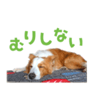 わんたすてぃっく★フォー（個別スタンプ：35）