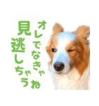 わんたすてぃっく★フォー（個別スタンプ：39）