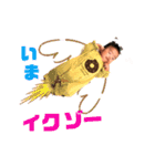 律季3（個別スタンプ：1）