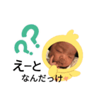 律季3（個別スタンプ：4）