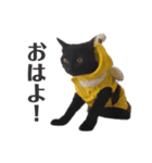黒猫のひとこと（part2）（個別スタンプ：1）
