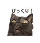 黒猫のひとこと（part2）（個別スタンプ：7）
