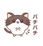 猫のたまじろう（個別スタンプ：13）