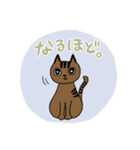 猫たちとシスターズスタンプ（個別スタンプ：28）