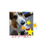今日のモモさん（個別スタンプ：10）