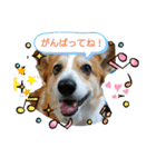 今日のモモさん（個別スタンプ：14）