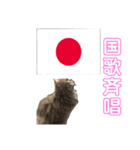 かわいい♡猫♡応援団（個別スタンプ：2）