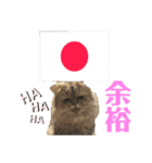 かわいい♡猫♡応援団（個別スタンプ：3）