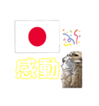 かわいい♡猫♡応援団（個別スタンプ：5）