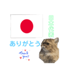かわいい♡猫♡応援団（個別スタンプ：6）