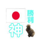 かわいい♡猫♡応援団（個別スタンプ：7）