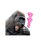 71水谷塾（個別スタンプ：38）