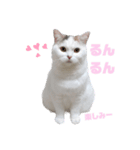 『ななこ』4 よく使う言葉(切り抜きver)（個別スタンプ：2）