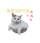 『ななこ』4 よく使う言葉(切り抜きver)（個別スタンプ：4）